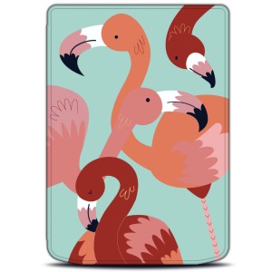 Etui Exoguard - Pocketbook Verse / Verse Pro / Verse Pro Color / Gobook 2.0 / Gobook 3.0 - Flaming