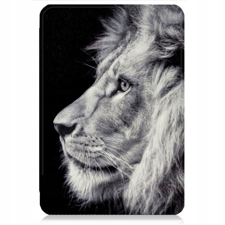 lion2.jpg