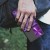 purple4.jpg