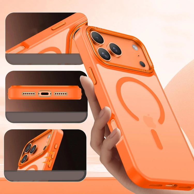 orange6.jpg